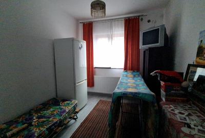 DOUA CASE DE VANZARE - ZONA  RACADAU - SINGUR IN CURTE - 6