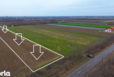 Teren de 4300 mp, în Odoreu - 2