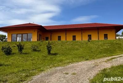 Casă cu 3 camere cu Teren 2400 Mp în Vulcan - 5
