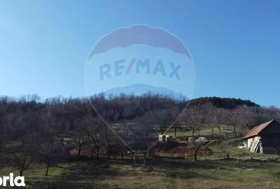 Teren de 23600 mp, în Vințu de Jos - 4