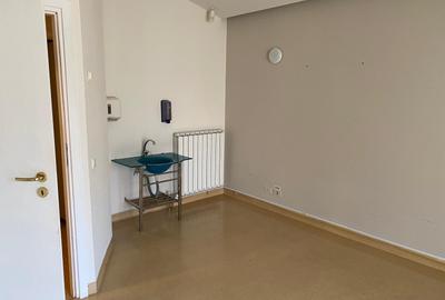 Inchiriere spatiu comercial P+1  230mp curte terasa ideal investitie Aviatorilor - 14