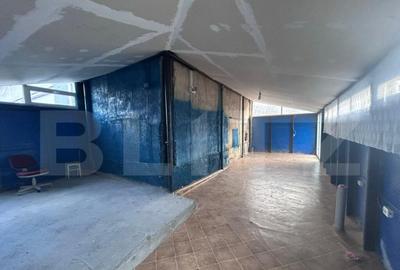 Hala industriala, 60 mp, zona Hanul Craiovitei - 3