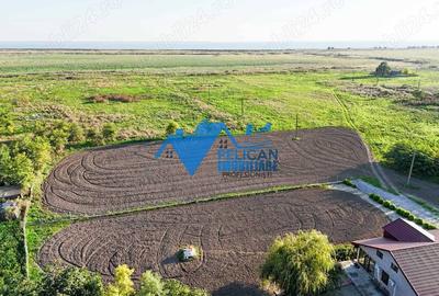 Teren de 6000 mp, în Sarinasuf - 3