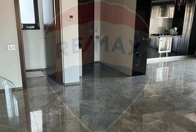 Duplex de Inchiriat in Zona Domeni-Ca?in - 15
