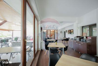 Spațiu comercial, de 320 mp, în Șuncuiuș - 4