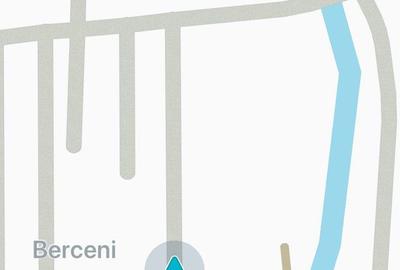 Spațiu comercial, în Berceni