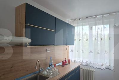 Apartament cu 2 camere, decomandat, Calea Bucuresti, zona In - 2