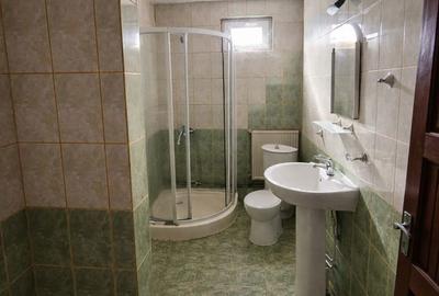 Casă cu 6 camere cu Teren 450 Mp în Calea București - 14