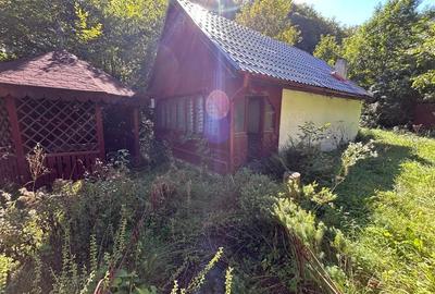 Cabana de vanzare, Valea Manastirii - Ramet - 5