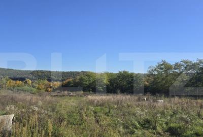 Casă cu 2 camere cu Teren 2397 Mp în Sud - 6