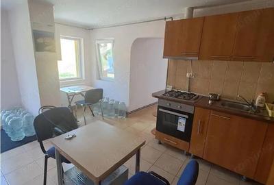 Casa individuala pe parter Sagului-Liviu Rebreanu Casa individuala pe parter Sagului-Liviu Rebreanu - 7