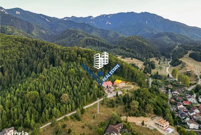 Teren de 7000 mp, în Central - 6