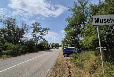 Proprietate in apropiere de complex turistic Mu?ete?ti - 2