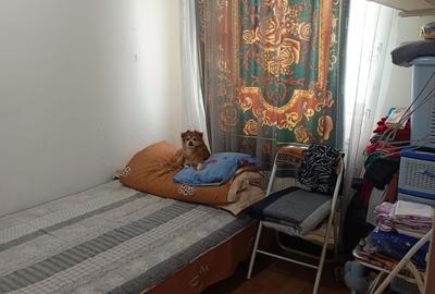 Apartament cu 2 camere semidecomandat în Voivodeni - 4