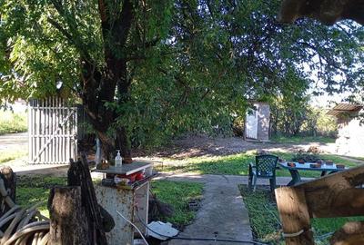 Casa cu teren de 2000 m Casa cu teren de 2000 m - 2