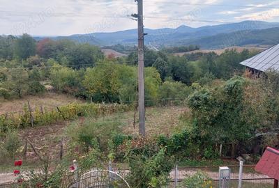 Casa de vacanta la 8 minute de sta?iunea Govora - 1