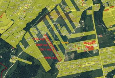 Teren agricol extravilan de 1447 mp, în Glăjărie - 7