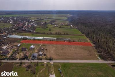 Teren de 3083 mp, în Gruiu