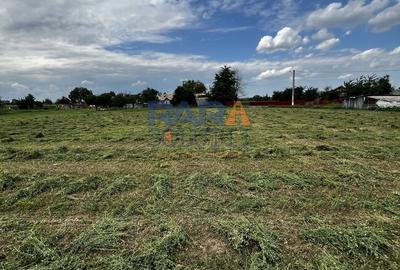 Casă cu 3500 mp teren, Sat Miron Costin - Brănișteni (str. Macilor) - 11