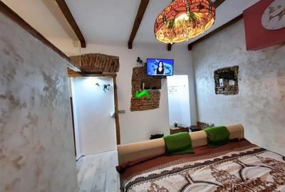 2 Garsoniere Investitie Regim Hotelier Sibiu Ultracentral - 3