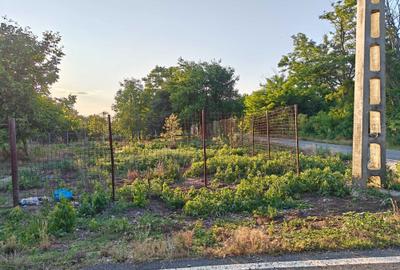 Spațiu comercial, în Livedea - 4