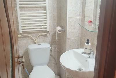 Apartament cu 3 camere decomandat în Valea Moșneagului - 8