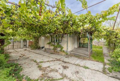 Casa spatioasa in Pancota ideala pentru doua familii - 19
