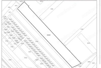 Teren de 53000 mp, în Dascălu - 5