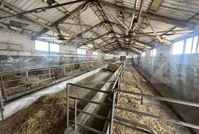 Spațiu comercial, de 356 mp, în Central - 15