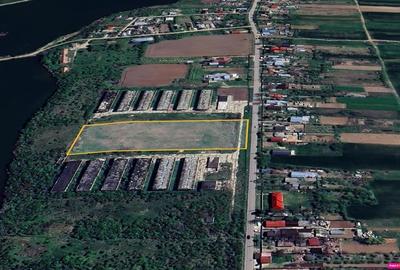 Vanzare teren intravilan Crevedia - Butimanu - DN1 A, Dambovita - 4