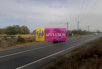 Teren Construcții intravilan de 4800 mp, în Glina - 49