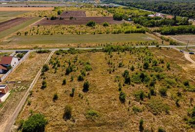 Parcele case cu vedere spre padure intre Timi?oara si Giarmata Vii - 2