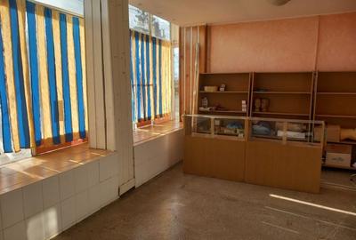 Spatiu Comercial Central 160 mp Com. Chiselet Jud. Calarasi - 10