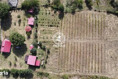 Teren de 6200 mp, în Mogoșești - 17