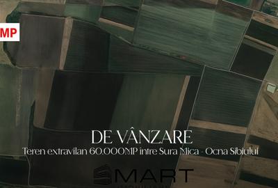 Teren agricol 6ha Ocna Sibiului - 1