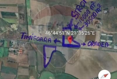 Teren de 80500 mp, în Ciumeghiu - 8