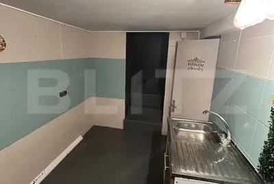 Randament excelent: casa de 37 mp in cautatul cartier Domenii - 7