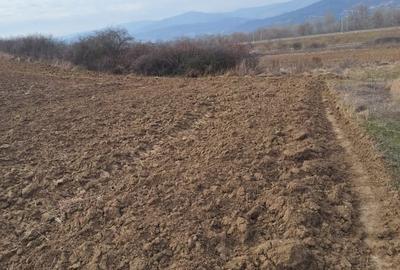 Teren agricol extravilan de 15800 mp, în Săliștea
