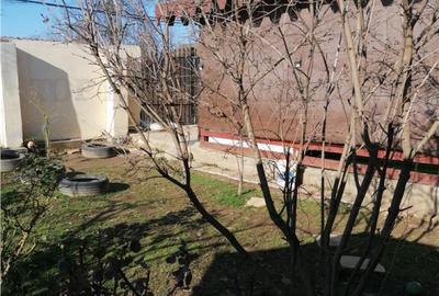 Casa 4 camere si teren in Glina - 4