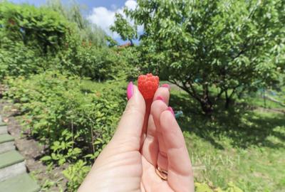Casa individuala superba de vanzare, cartier Andrei Muresanu! - 5