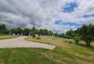 Teren Construcții intravilan de 30000 mp, în Exterior Est - 5