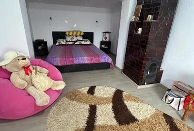 Casă cu 3 camere cu Teren 4520 Mp în Potlogi - 1
