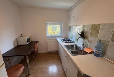 Inchiriere apartament doua camere mansarda vila D+P+1+M Cotroceni - 8