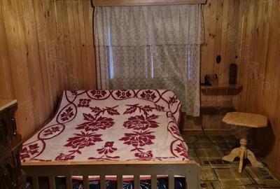 Cabana - Locuinta de vacanta langa Piatra Neamt - 7