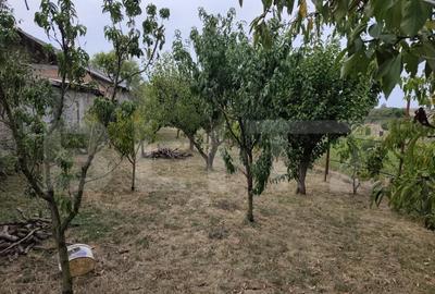 Casă cu 4 camere cu Teren 2700 Mp în Cihei - 6