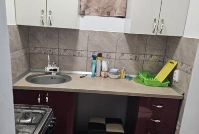 Apartament 2 camere Parcul Tineretului - 4