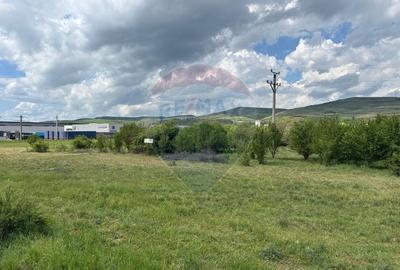 Teren Construcții intravilan de 13783 mp, în Florești - 1