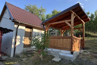 Casă cu 3 camere cu Teren 2800 Mp în Central - 6