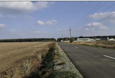 Teren extravilan Varvoru de Jos, jud Dolj - 2