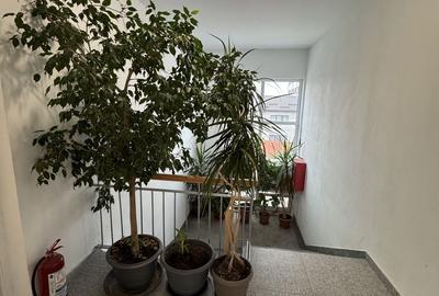 Birou, de 300 mp, în Giurgiului - 8